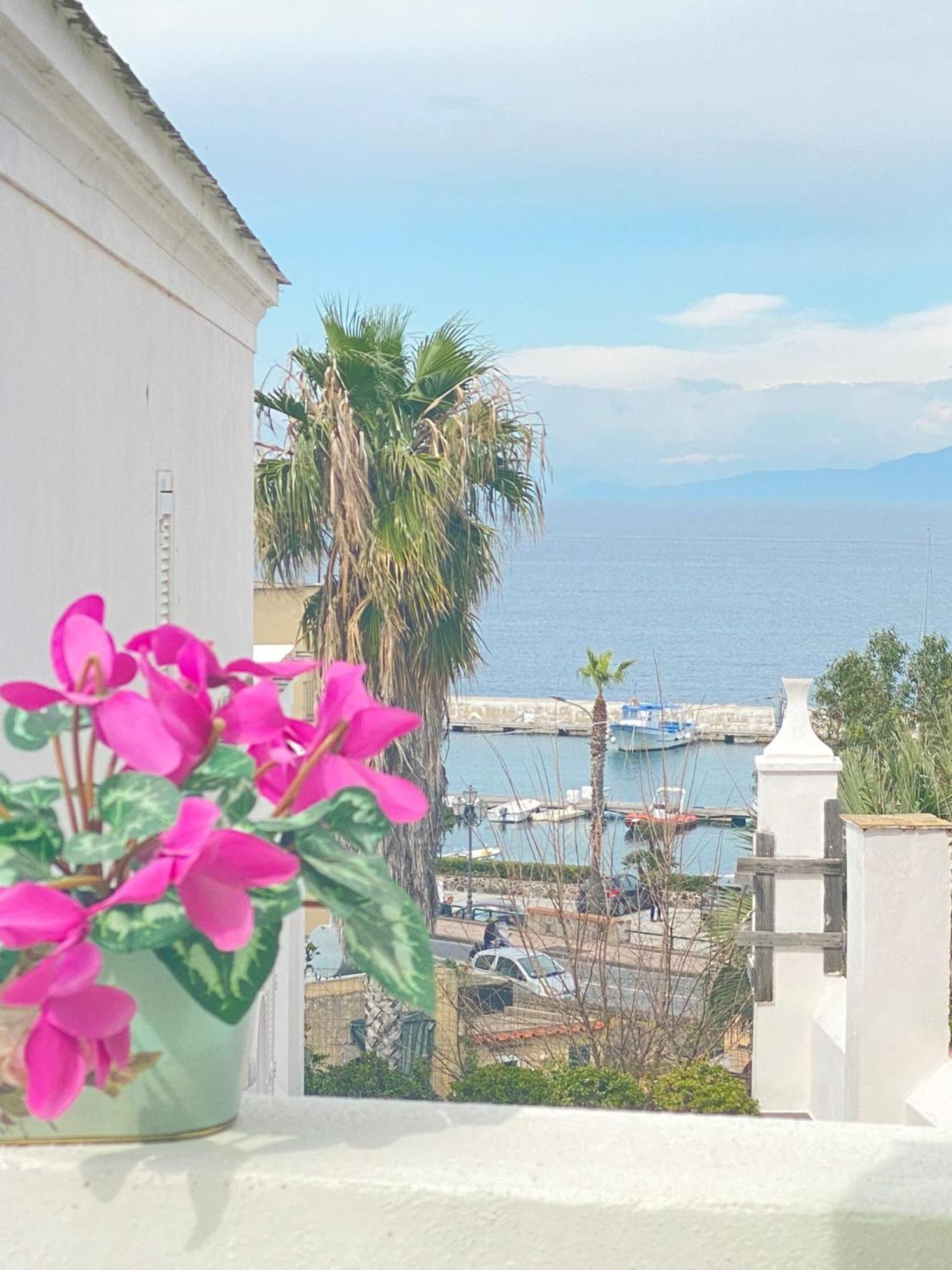 Euploia Apartment Ischia Eksteriør billede